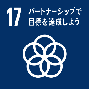 17 パートナーシップで目標を達成しよう